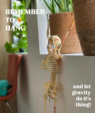 Instagram post from barhalevydc. This post is in position 5.